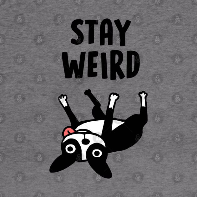 Stay Weird - Funny Boston Terrier Cartoon Dog by Coffee Squirrel